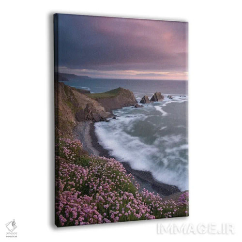 تابلو ساحل صورتی اثر آدام برتون - نمای پرسپکتیو محصول