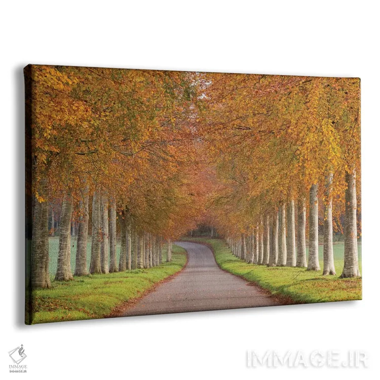 تابلو شکوه پاییز اثر آدام برتون - نمای پرسپکتیو محصول