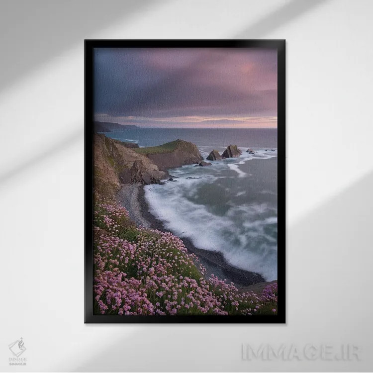 تابلو ساحل صورتی اثر آدام برتون - نمای قابدار مشکی