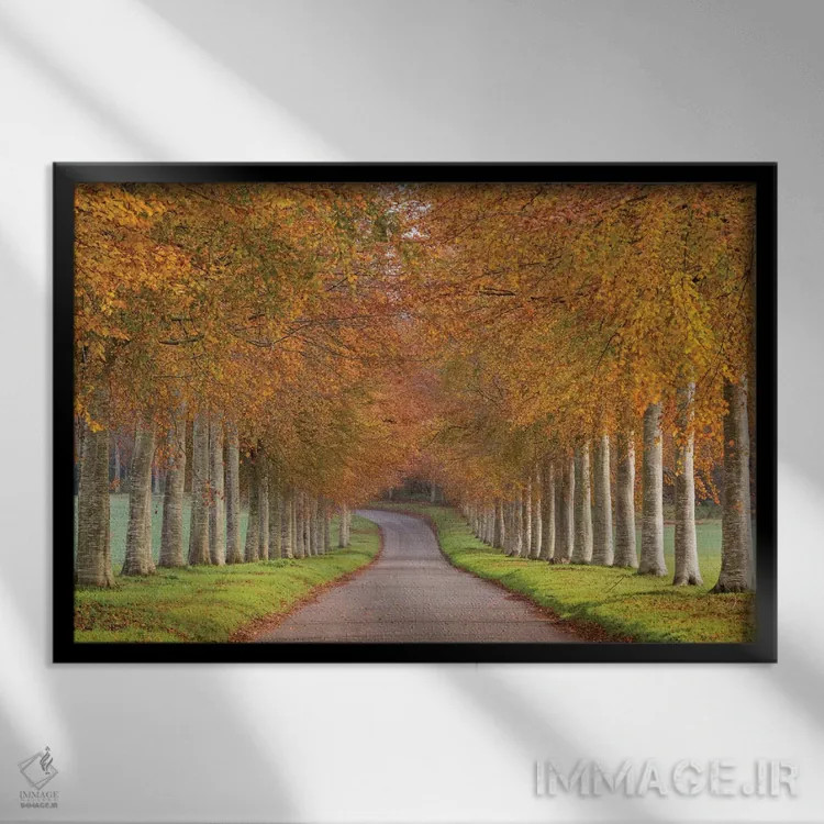 تابلو شکوه پاییز اثر آدام برتون - نمای قابدار مشکی