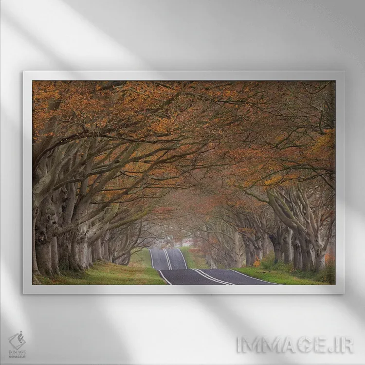 تابلو از دل تونل اثر آدام برتون - نمای قابدار سفید