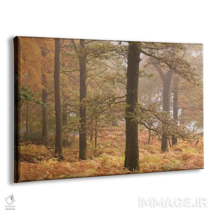تابلو جنگل اولزووتر اثر آدام برتون - نمای پرسپکتیو محصول