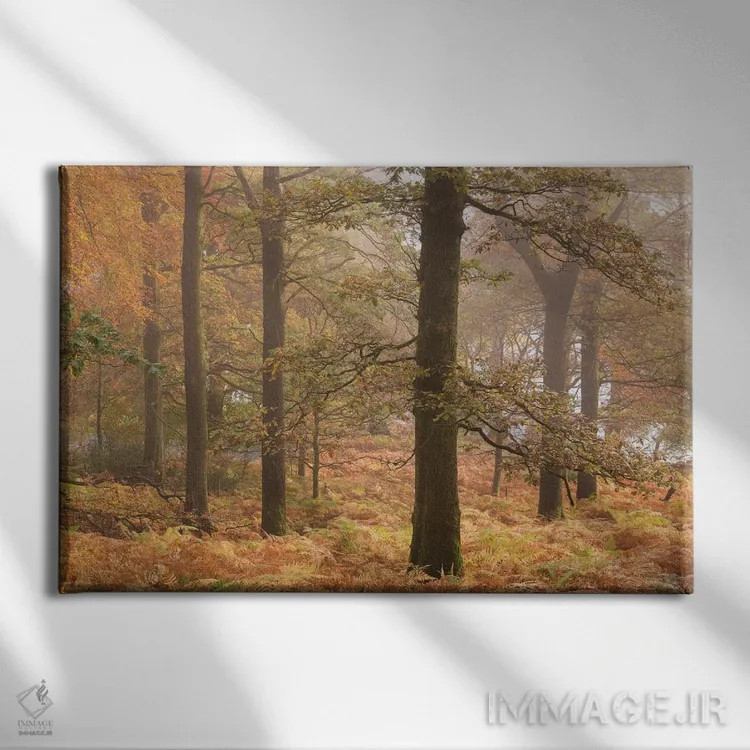 تابلو جنگل اولزووتر اثر آدام برتون - نمای روبهرو روی دیوار
