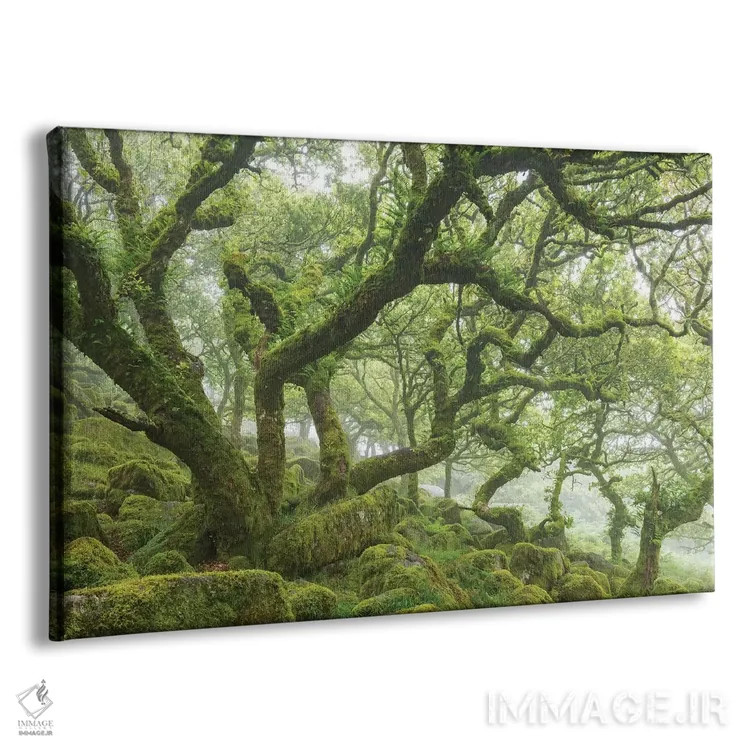 تابلو جنگل کهن اثر آدام برتون - نمای پرسپکتیو محصول