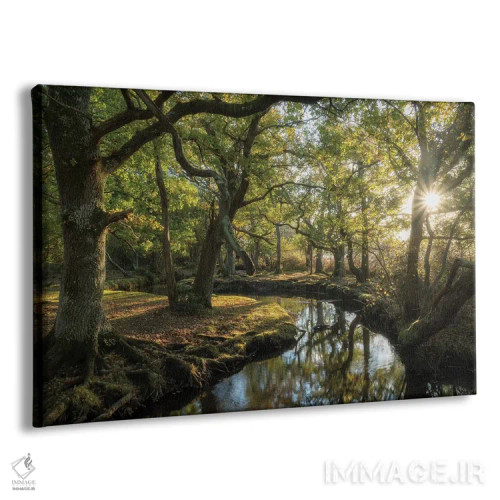 تابلو نزدیک شدن به لوریِن (ارجاع به آثار تالکین) اثر آدام برتون - نمای پرسپکتیو محصول