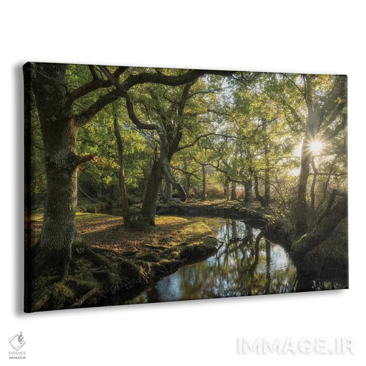 تابلو نزدیک شدن به لوریِن (ارجاع به آثار تالکین) اثر آدام برتون - نمای پرسپکتیو محصول