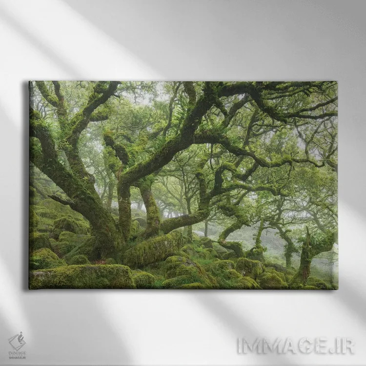 تابلو جنگل کهن اثر آدام برتون - نمای روبهرو روی دیوار