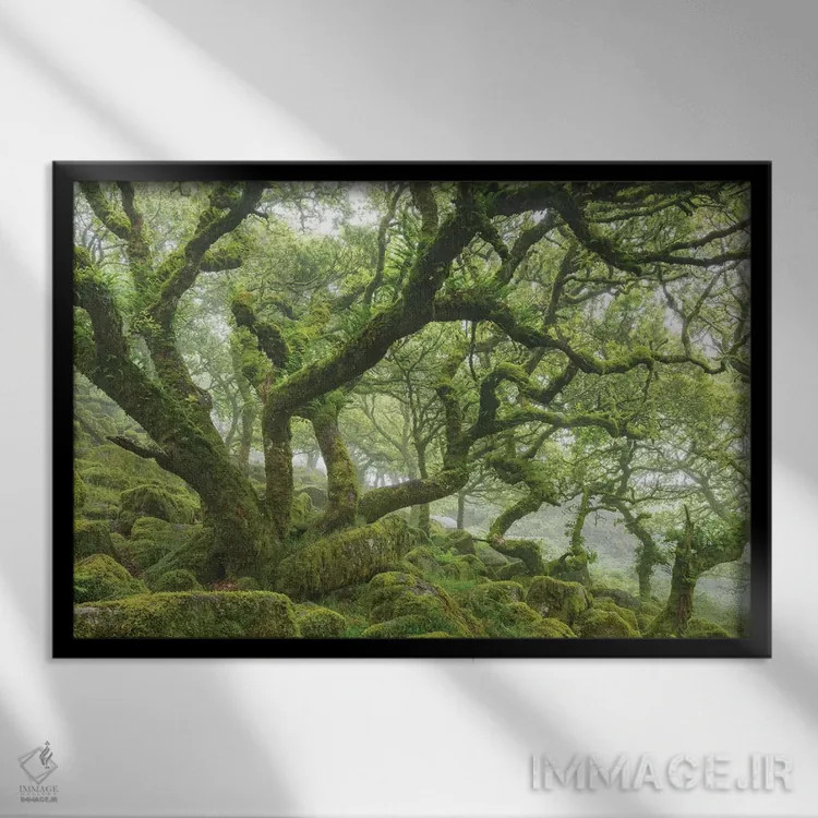 تابلو جنگل کهن اثر آدام برتون - نمای قابدار مشکی