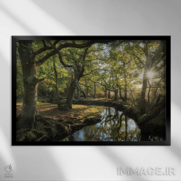 تابلو نزدیک شدن به لوریِن (ارجاع به آثار تالکین) اثر آدام برتون - نمای قابدار مشکی