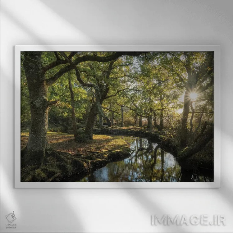 تابلو نزدیک شدن به لوریِن (ارجاع به آثار تالکین) اثر آدام برتون - نمای قابدار سفید