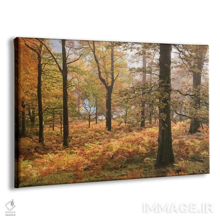 تابلو رنگهای پاییز اثر آدام برتون - نمای پرسپکتیو محصول