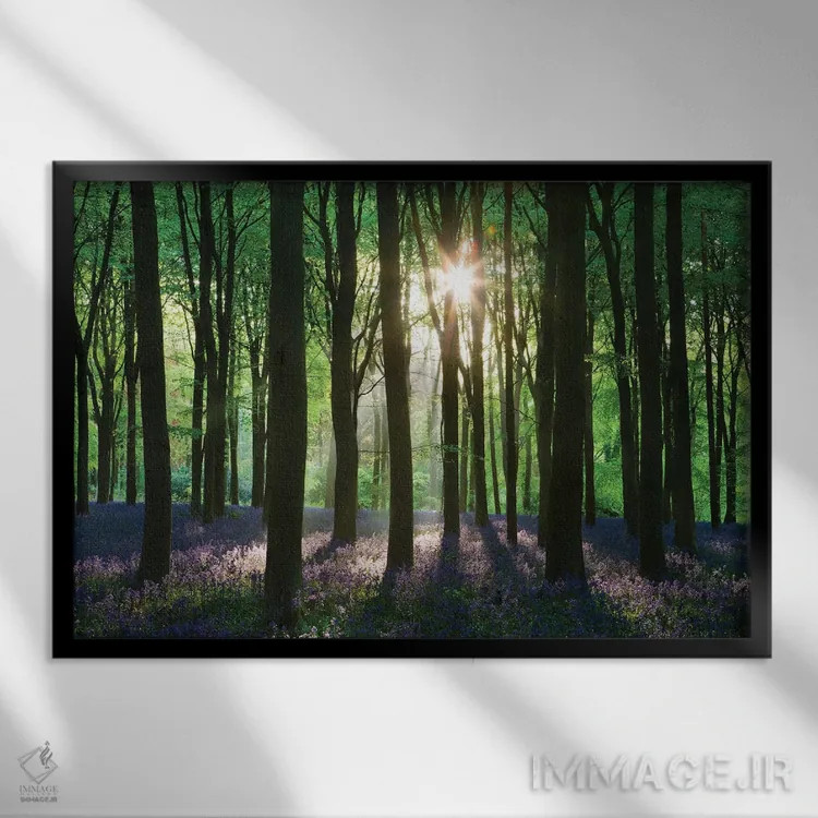 تابلو جنگل گل زنگولهای اثر آدام برتون - نمای قابدار مشکی