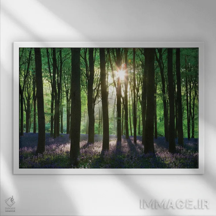 تابلو جنگل گل زنگولهای اثر آدام برتون - نمای قابدار سفید