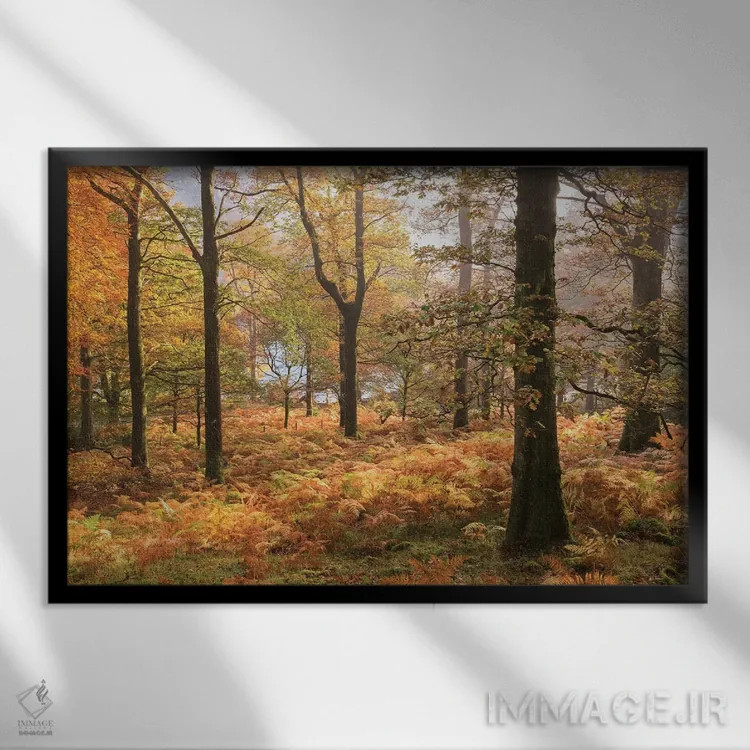 تابلو رنگهای پاییز اثر آدام برتون - نمای قابدار مشکی