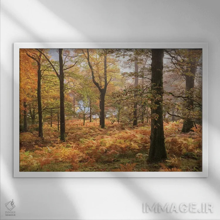 تابلو رنگهای پاییز اثر آدام برتون - نمای قابدار سفید