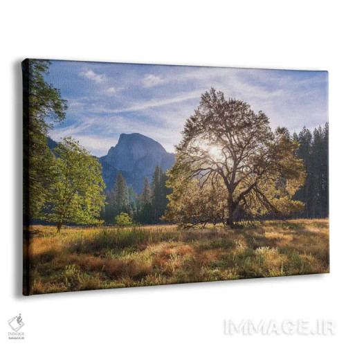 تابلو دشت کوکس و هاف دوم اثر آدام برتون - نمای پرسپکتیو محصول