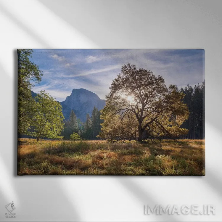 تابلو دشت کوکس و هاف دوم اثر آدام برتون - نمای روبهرو روی دیوار