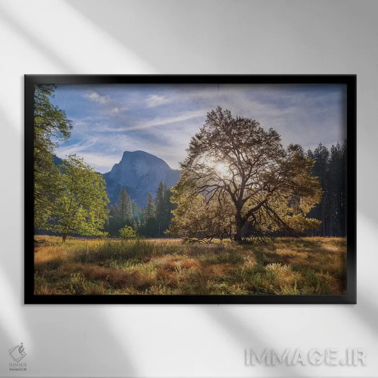 تابلو دشت کوکس و هاف دوم اثر آدام برتون - نمای قابدار مشکی