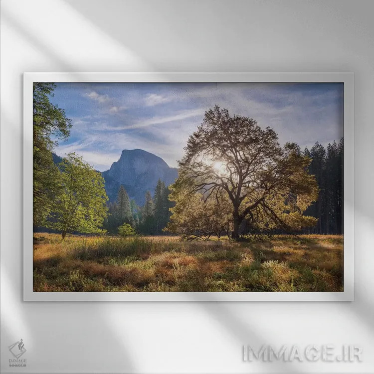 تابلو دشت کوکس و هاف دوم اثر آدام برتون - نمای قابدار سفید