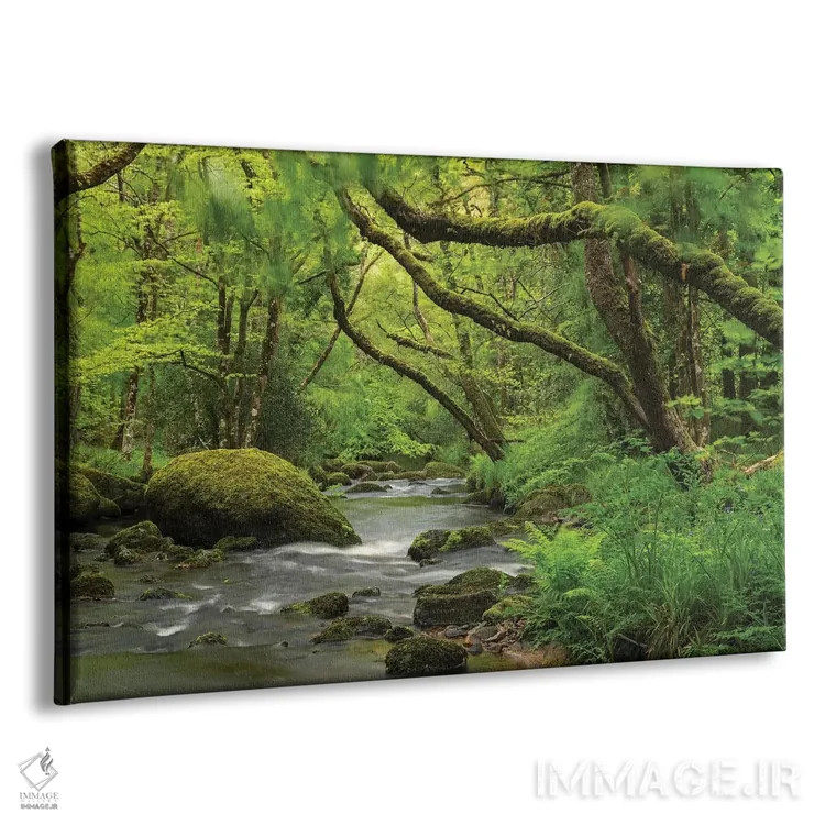 تابلو جنگل افسانهای اثر آدام برتون - نمای پرسپکتیو محصول