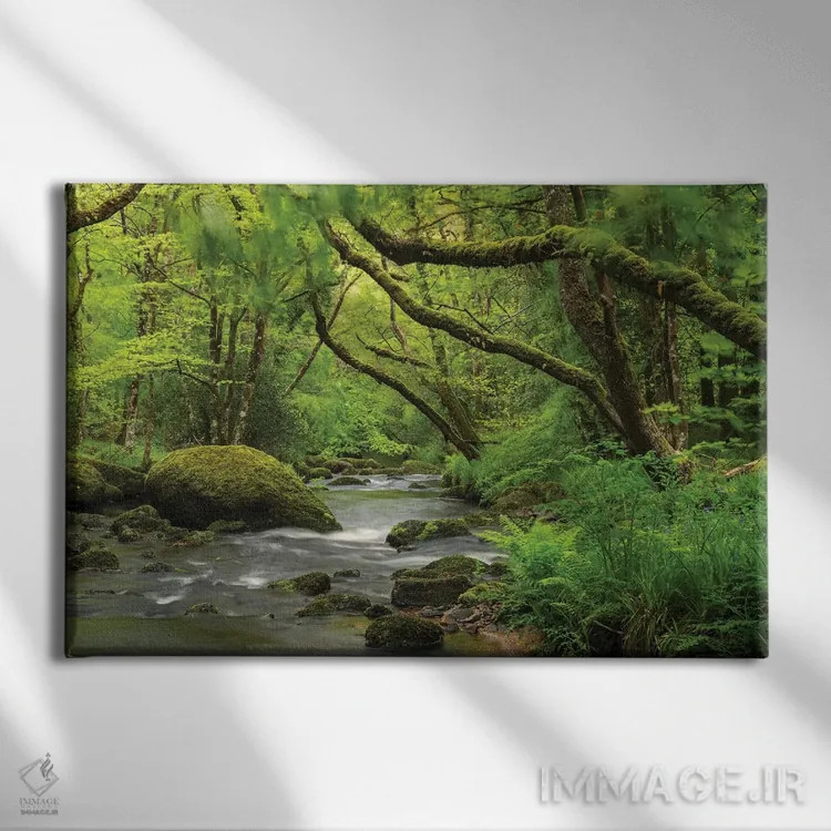 تابلو جنگل افسانهای اثر آدام برتون - نمای روبهرو روی دیوار