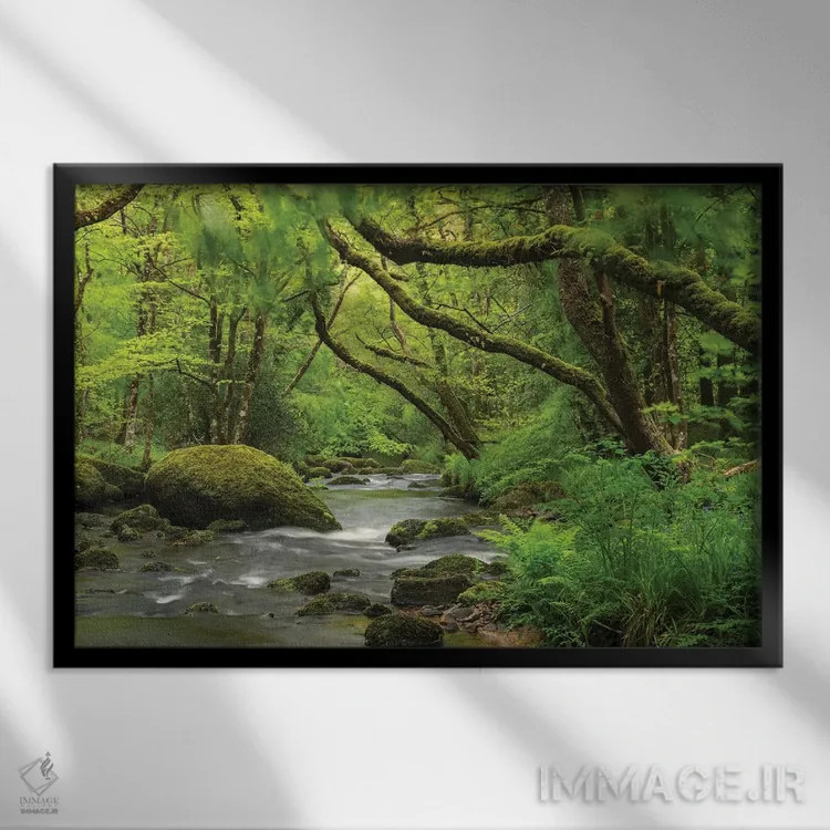 تابلو جنگل افسانهای اثر آدام برتون - نمای قابدار مشکی