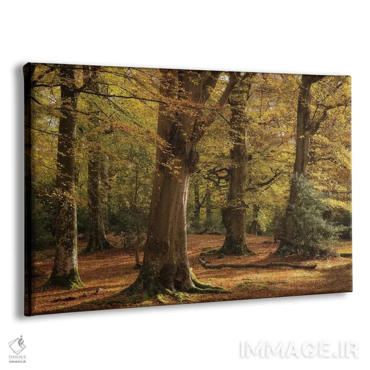تابلو طلاییهای جنگل اثر آدام برتون - نمای پرسپکتیو محصول
