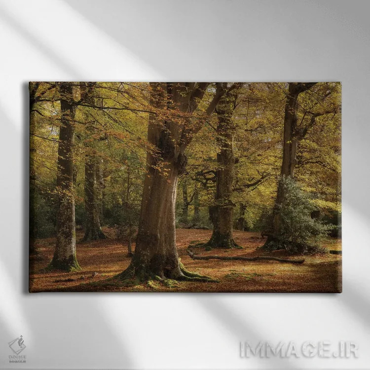 تابلو طلاییهای جنگل اثر آدام برتون - نمای روبهرو روی دیوار