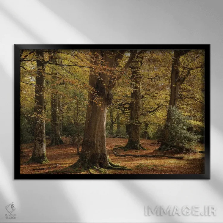 تابلو طلاییهای جنگل اثر آدام برتون - نمای قابدار مشکی
