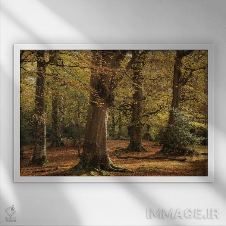 تابلو طلاییهای جنگل اثر آدام برتون - نمای قابدار سفید