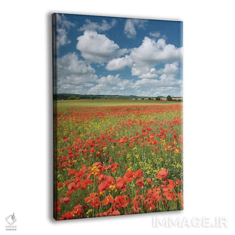 تابلو رنگهای تابستان (دورست) اثر آدام برتون - نمای پرسپکتیو محصول