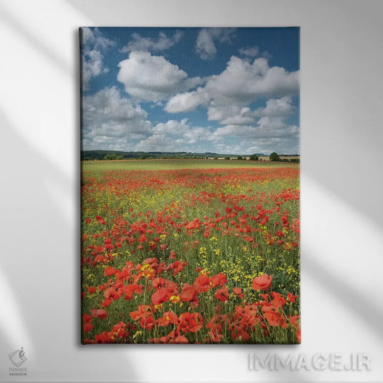 تابلو رنگهای تابستان (دورست) اثر آدام برتون - نمای روبهرو روی دیوار