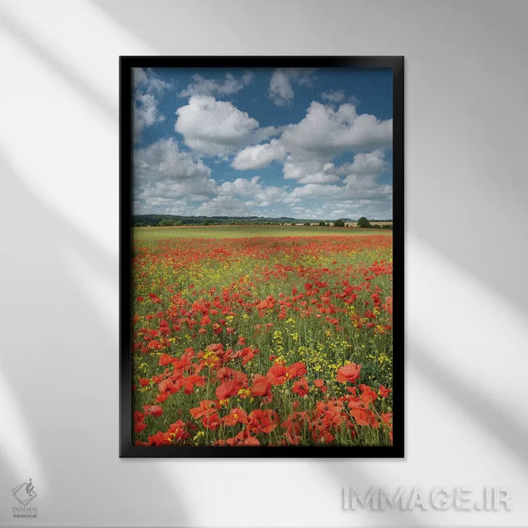 تابلو رنگهای تابستان (دورست) اثر آدام برتون - نمای قابدار مشکی