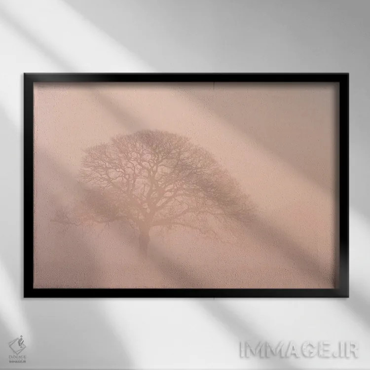 تابلو درخت بلوط در مه صبحگاهی اثر آدام برتون - نمای قابدار مشکی