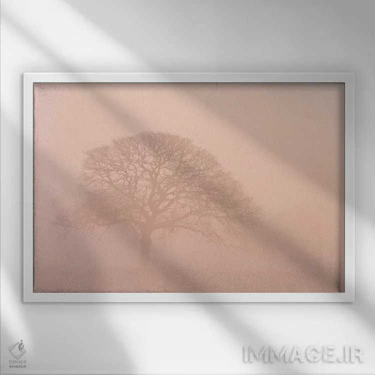 تابلو درخت بلوط در مه صبحگاهی اثر آدام برتون - نمای قابدار سفید