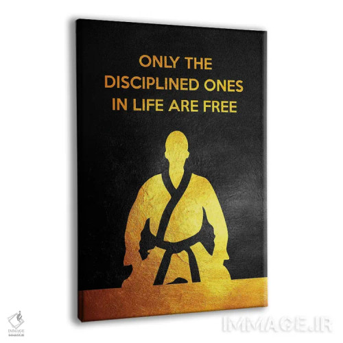 تابلو انضباط آزادی است اثر آدریان بالدُوینو - نمای پرسپکتیو محصول