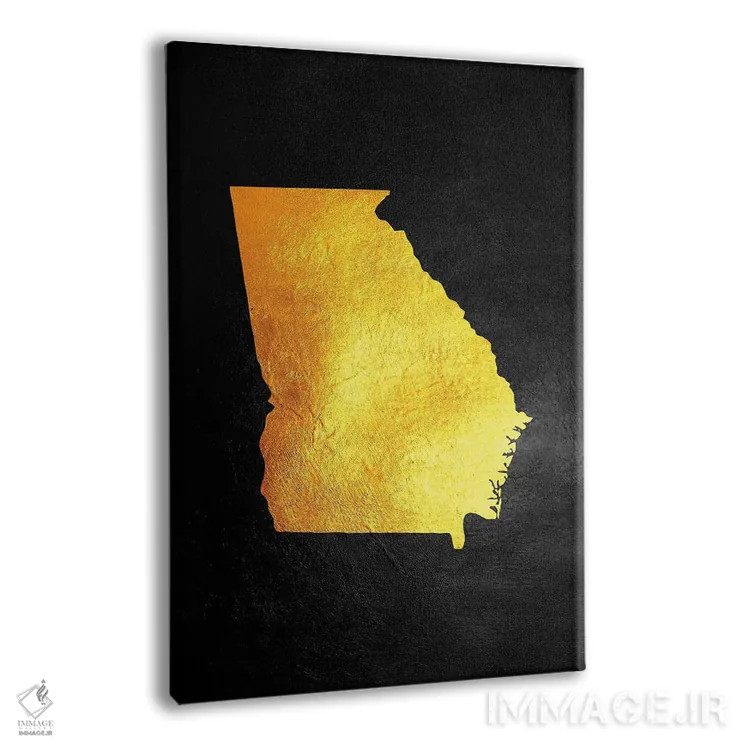 تابلو نقشه طلایی ایالت جورجیا اثر آدریان بالدُوینو - نمای پرسپکتیو محصول