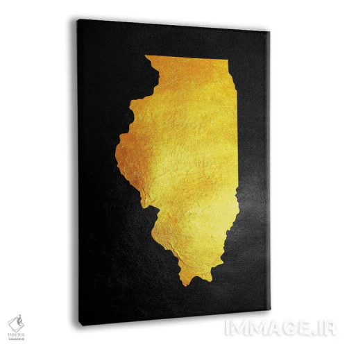 تابلو نقشه طلایی ایلینوی اثر آدریان بالدُوینو - نمای پرسپکتیو محصول
