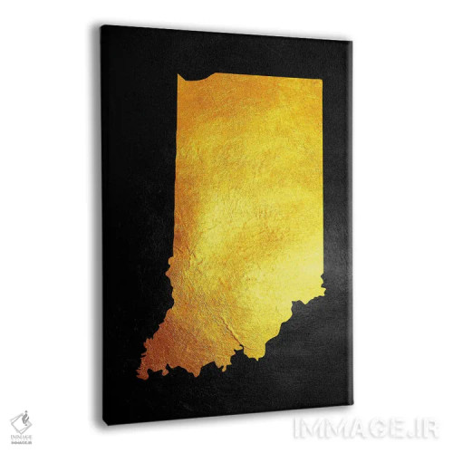 تابلو نقشه طلایی ایندیانا اثر آدریان بالدُوینو - نمای پرسپکتیو محصول