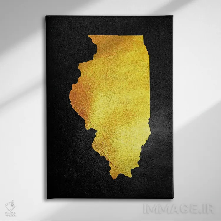 تابلو نقشه طلایی ایلینوی اثر آدریان بالدُوینو - نمای روبهرو روی دیوار
