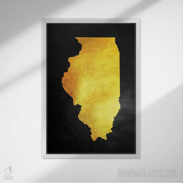 تابلو نقشه طلایی ایلینوی اثر آدریان بالدُوینو - نمای قابدار سفید