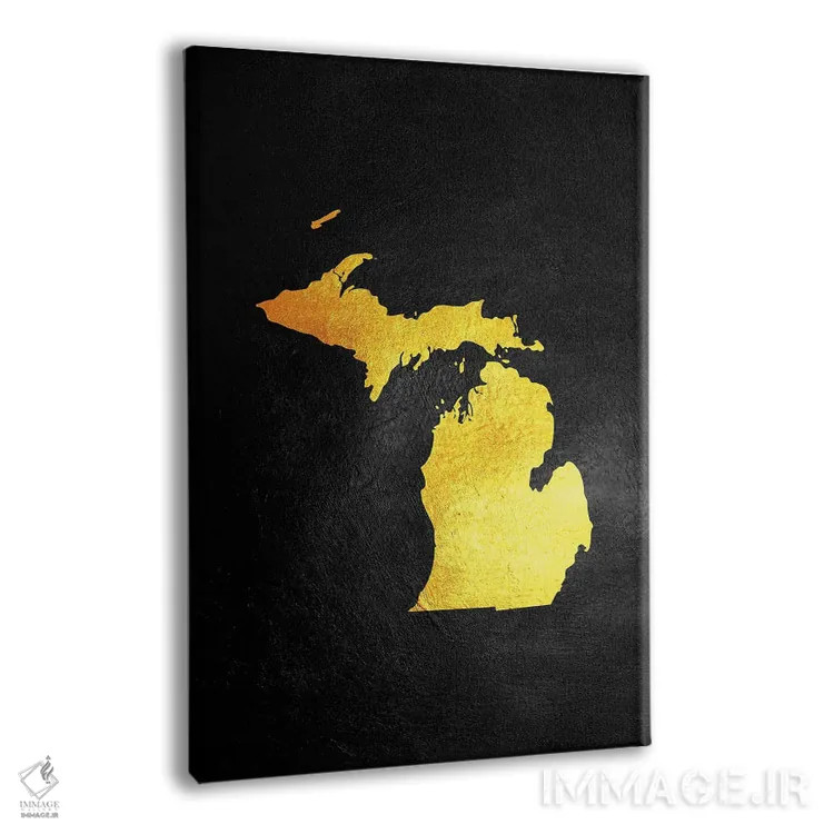 تابلو نقشه طلایی میشیگان اثر آدریان بالدُوینو - نمای پرسپکتیو محصول