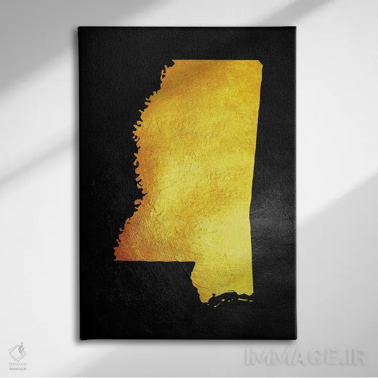 تابلو نقشه طلایی میسیسیپی اثر آدریان بالدُوینو - نمای روبهرو روی دیوار