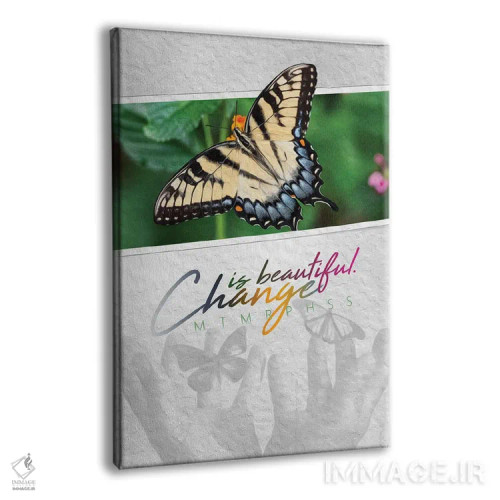 تابلو تغییر پروانهای زیباست اثر آدریان بالدُوینو - نمای پرسپکتیو محصول
