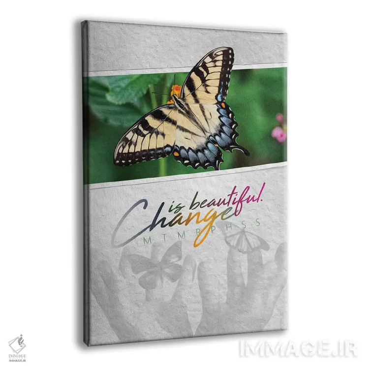 تابلو تغییر پروانهای زیباست اثر آدریان بالدُوینو - نمای پرسپکتیو محصول