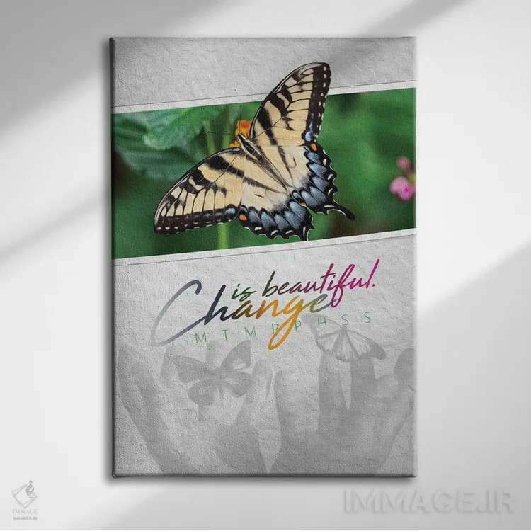 تابلو تغییر پروانهای زیباست اثر آدریان بالدُوینو - نمای روبهرو روی دیوار