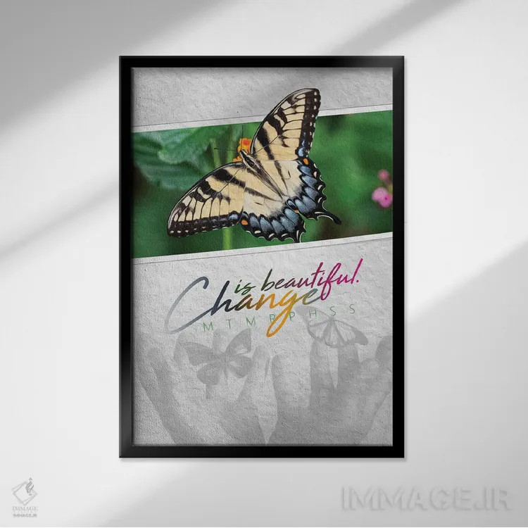 تابلو تغییر پروانهای زیباست اثر آدریان بالدُوینو - نمای قابدار مشکی