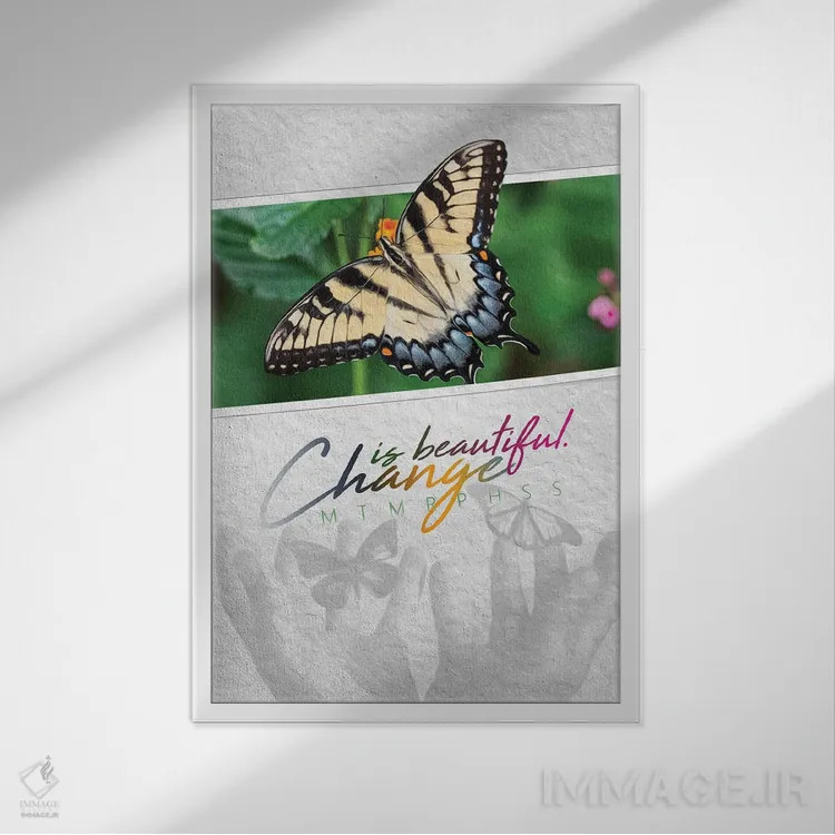 تابلو تغییر پروانهای زیباست اثر آدریان بالدُوینو - نمای قابدار سفید