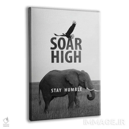تابلو بالا پرواز کن اما فروتن بمان اثر آدریان بالدُوینو - نمای پرسپکتیو محصول