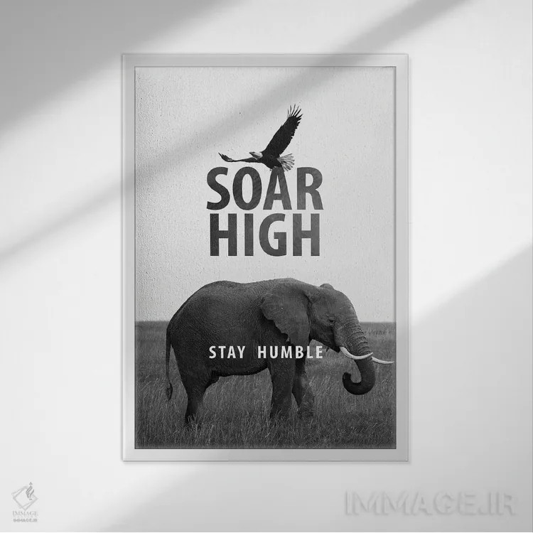 تابلو بالا پرواز کن اما فروتن بمان اثر آدریان بالدُوینو - نمای قابدار سفید